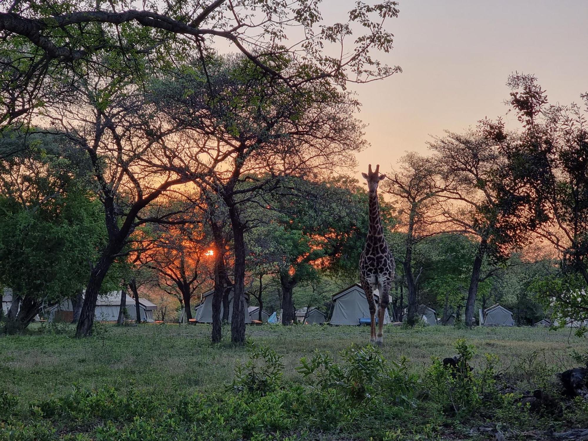 Unyati Safari Lodge Hectorspruit Buitenkant foto